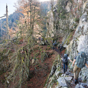 MTA 3D Vogezen 2025 01 800x800px