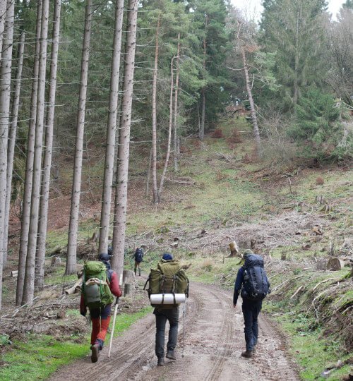 Deelnemers wandelen met rugzakken door Duits bos tijdens MTA 3-daagse Eifel