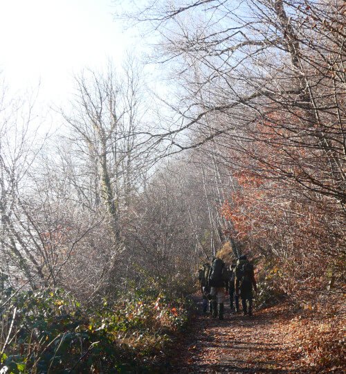 Deelnemers lopen over pad langs rivier in zonovergoten Franse Ardennen tijdens MTA 3-daagse hike